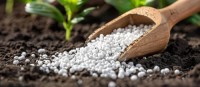Agricultural Fertilizers