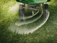 Lawn Fertilizers