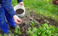 Chemical Fertilizers
