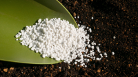 Fertilizers
