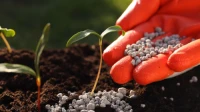 Garden Fertilizers